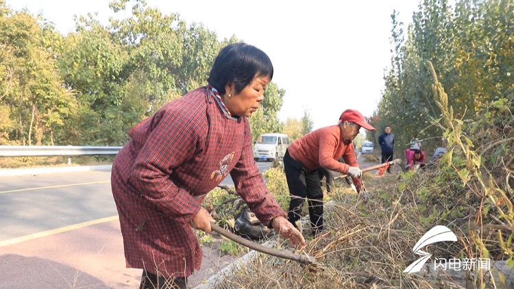 滨州邹平：人居环境大提升，美丽乡村入画来