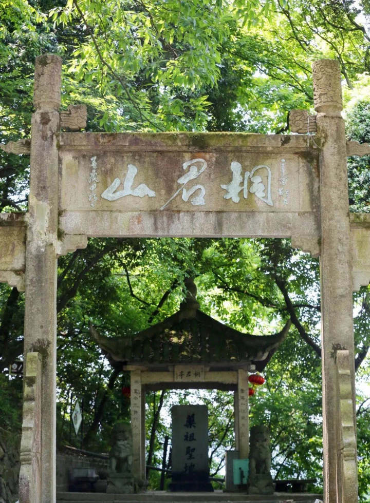 一座山、一个人、一种传承……走进“药祖圣地 养生福地”，感受中医药文化