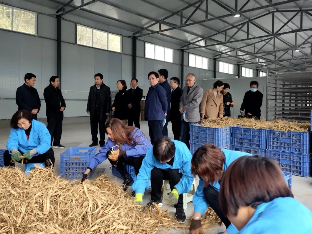 服务百姓健康，留坝县第二届中医药文化节开幕
