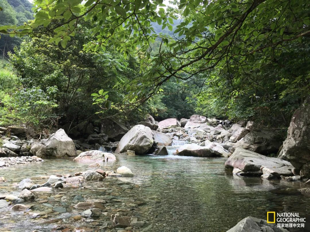 This mountain in Anhui has finally recovered