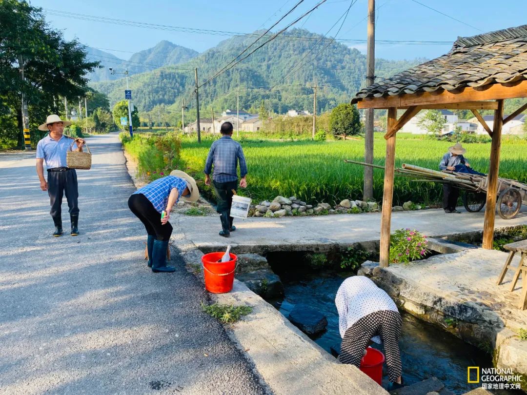 This mountain in Anhui has finally recovered