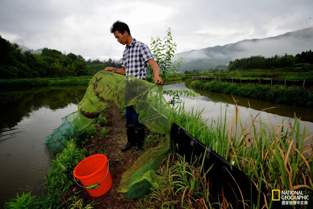 This mountain in Anhui has finally recovered