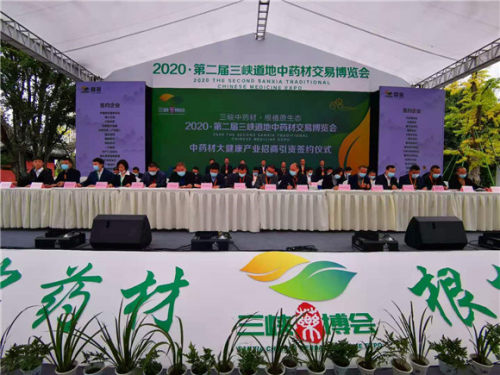 2020“三峡药博会”开幕 推动三峡库区中医药在传承中创新发展