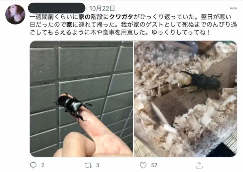 网友游戏王卡牌被盗损失上亿！小偷可能是顺着炫富照找来的