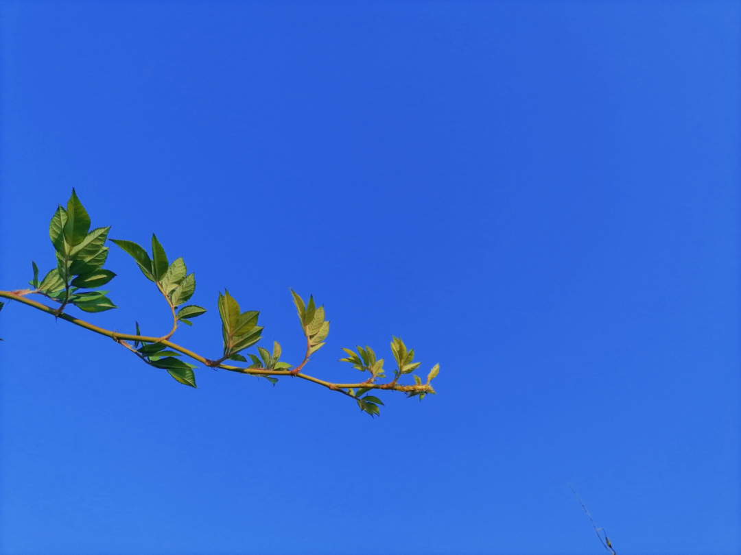长空清阔满目澄蓝,初冬递进沉淀贵阳秋日记忆