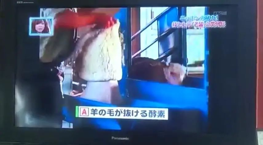 给羊脱羊毛就像脱毛衣？！这特别的薅羊毛大法，简直看呆了