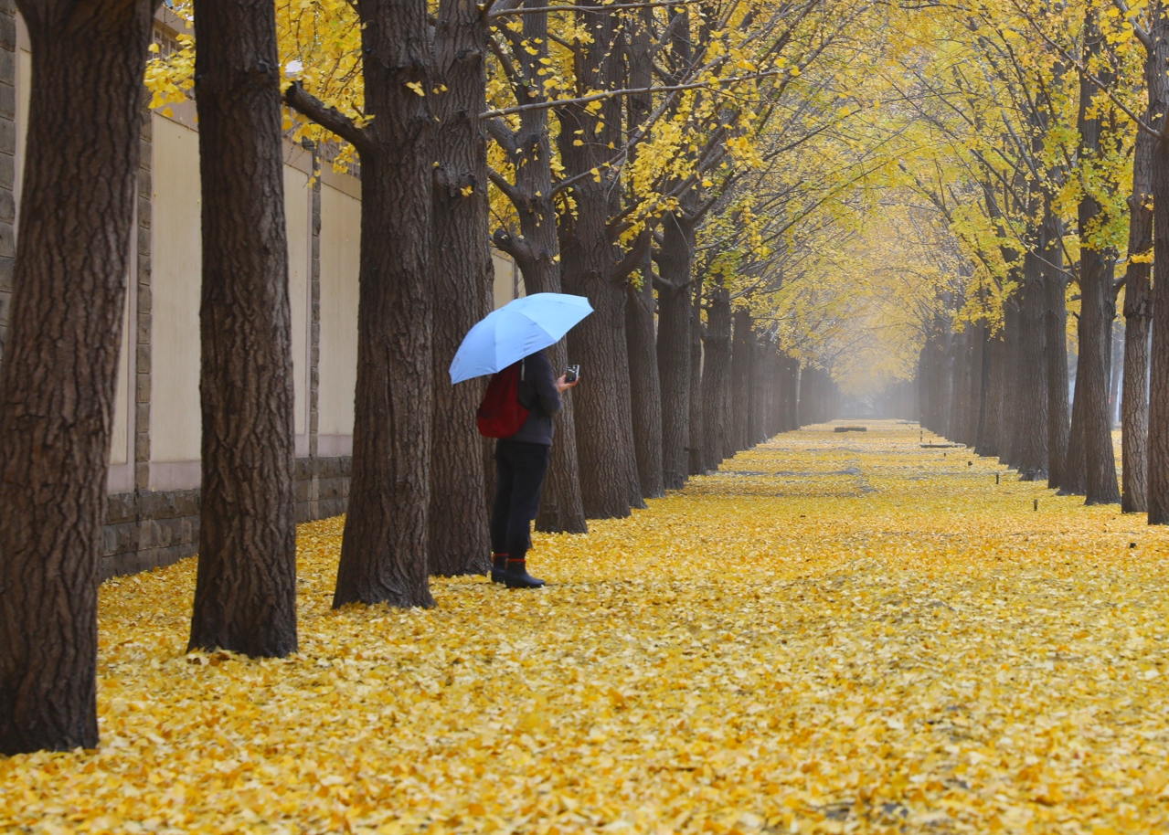 [升级]暴雪预警升级为橙色！这些地区将受影响 短期不会明显回暖