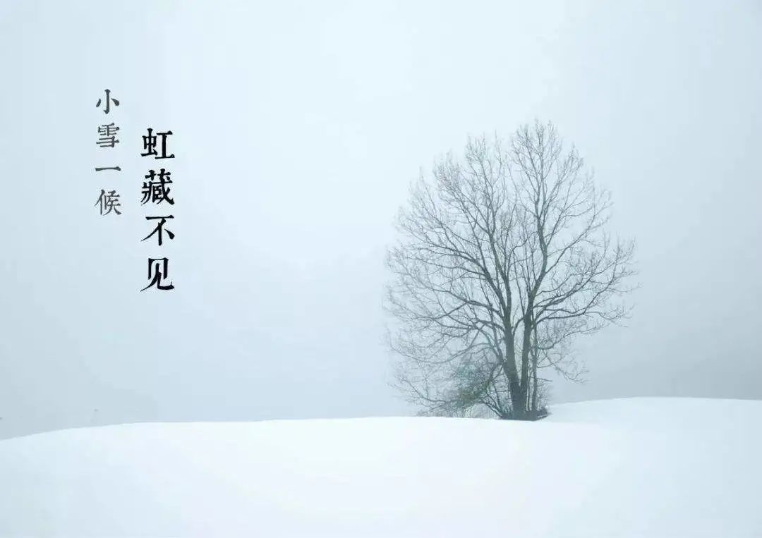 今日小雪｜天冷冬深 愿岁月安暖