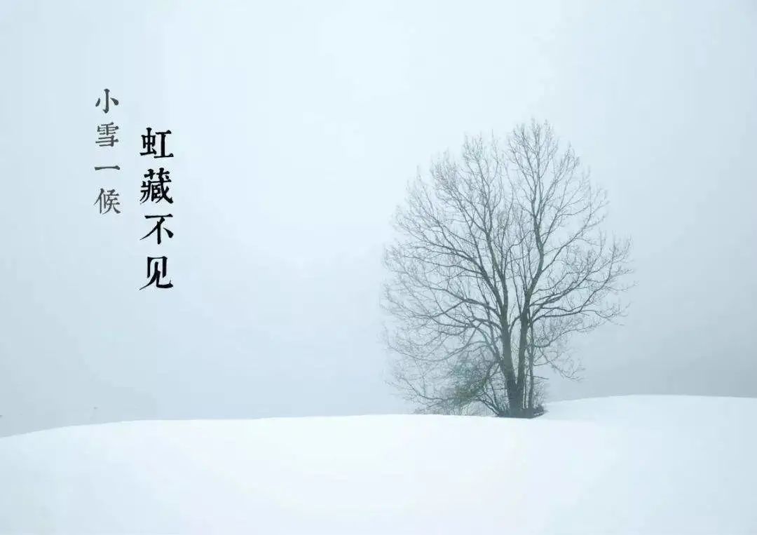 今日小雪｜天冷冬深 愿歲月安暖