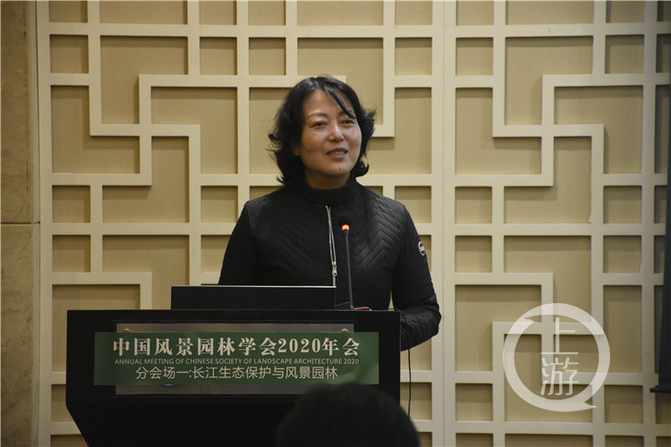 园林建设与生态保护有何关系？专家这么说