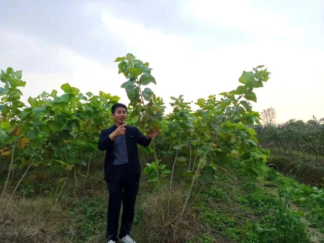 头条 大手 牵 小手 家庭农场牵出贫困户好日子 三农 爆资讯新媒体平台