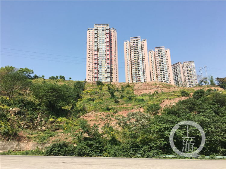 发现重庆之美丨山城“挂毯”记：看“最美坡坎崖”如何扮靓城市