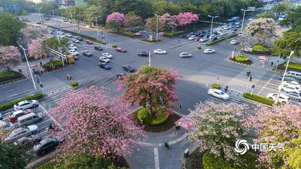 究竟什么样的冷空气才能翻过南岭？