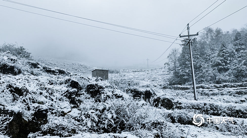 下雪啦！贵州多地今冬初雪如期而至 天地浑然一体