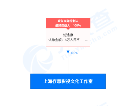 謀女郎劉浩存個人資料照片：成立個人工作室 本人全資持股