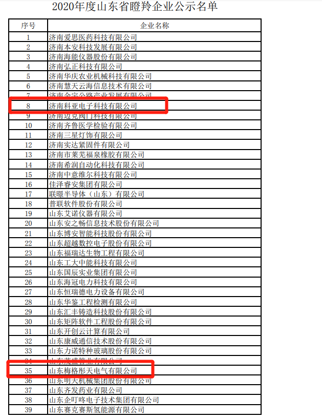 2020年度山東省瞪羚、獨(dú)角獸企業(yè)名單公示！園區(qū)這些企業(yè)榜上有名！