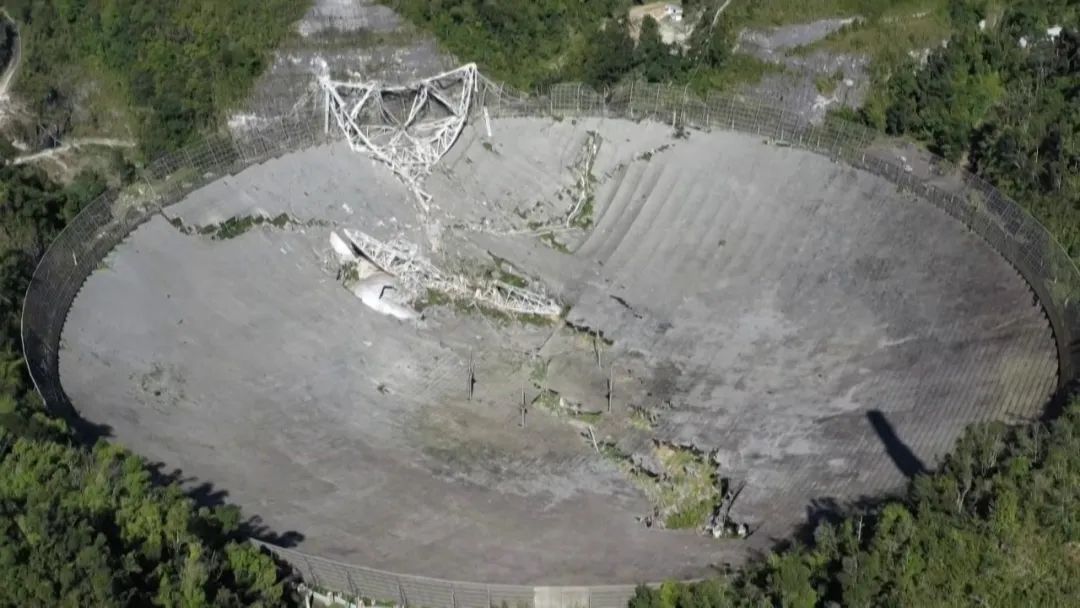 ���������ۡ����ϣ�����ֻʣ�й�һֻ�����ۡ�