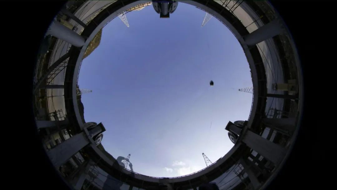 ���������ۡ����ϣ�����ֻʣ�й�һֻ�����ۡ�