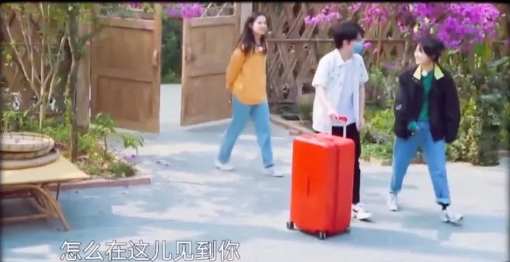 Badger game | The little sister patted love to make fun of eventually, zhang Zifeng Cp locked up Wu Lei