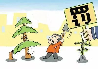 禁止砍树卡通图片图片