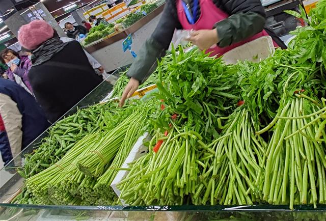 汉产藜蒿上市月余仍处高位，只因时令特色菜口感越来越甜正当季