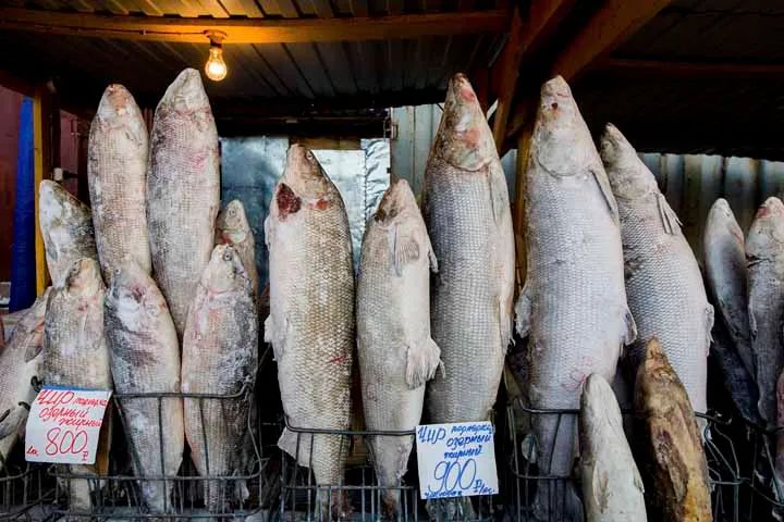 由于远距离运输,北极地区的食物一般贵得离谱.
