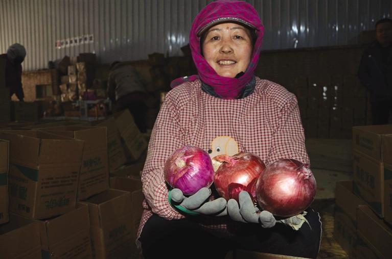 开网店2个月“拼”出销量10万+ 依托电商平台 酒泉洋葱热销全国