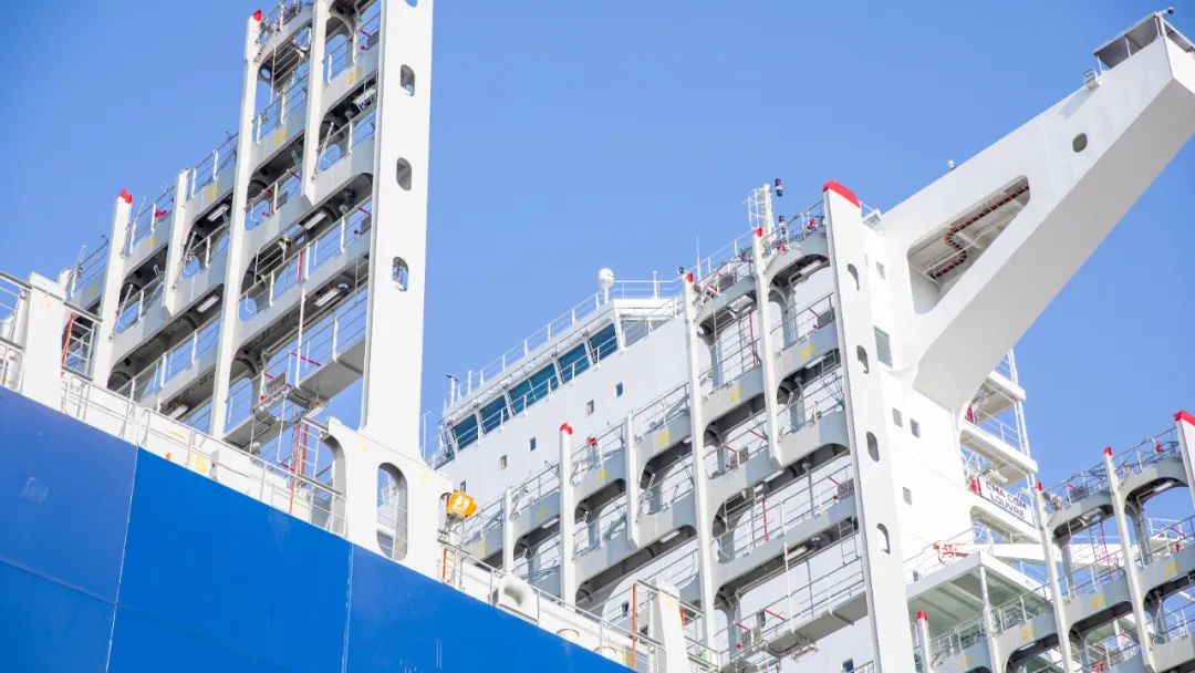 今天，崇明又诞生一个世界之最