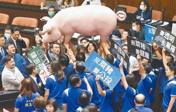 民进党钢盔 冲不破民意长城