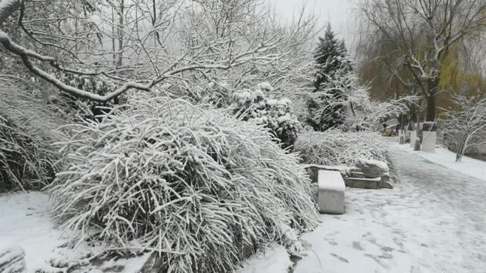 Snow hind is big bright lake, often abandon the wording and purpose of what one writes " the winter of Jinan " the most beautiful model came