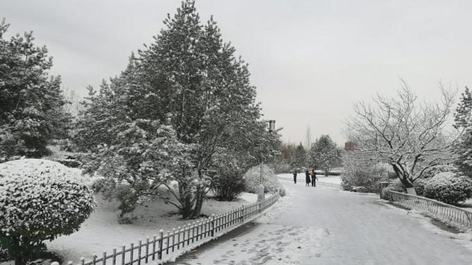 Snow hind is big bright lake, often abandon the wording and purpose of what one writes " the winter of Jinan " the most beautiful model came