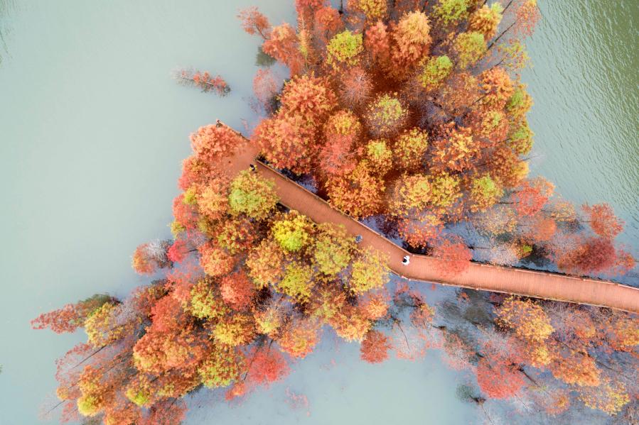 ҹӵ֪ʶȨ˹Ӱ˻-I׷ɳɹ