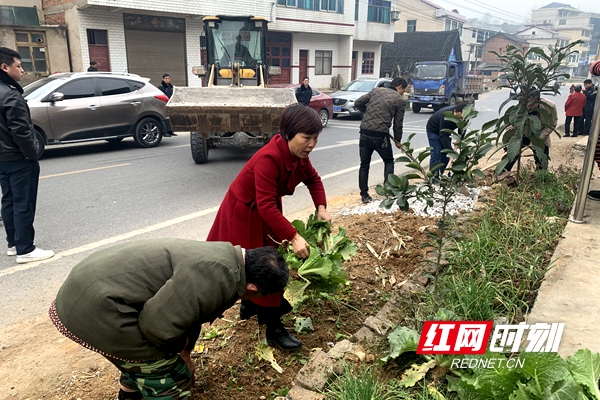 双清区稳步推进交通问题顽瘴痼疾集中整治工作