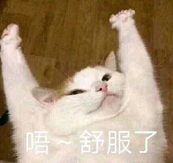 雨天開車濺人一身水，違法