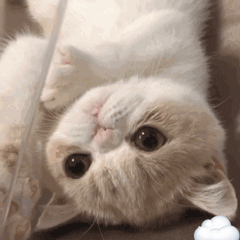 社交|剧本杀成90后00后社交新潮流 你最爱的游戏是什么？