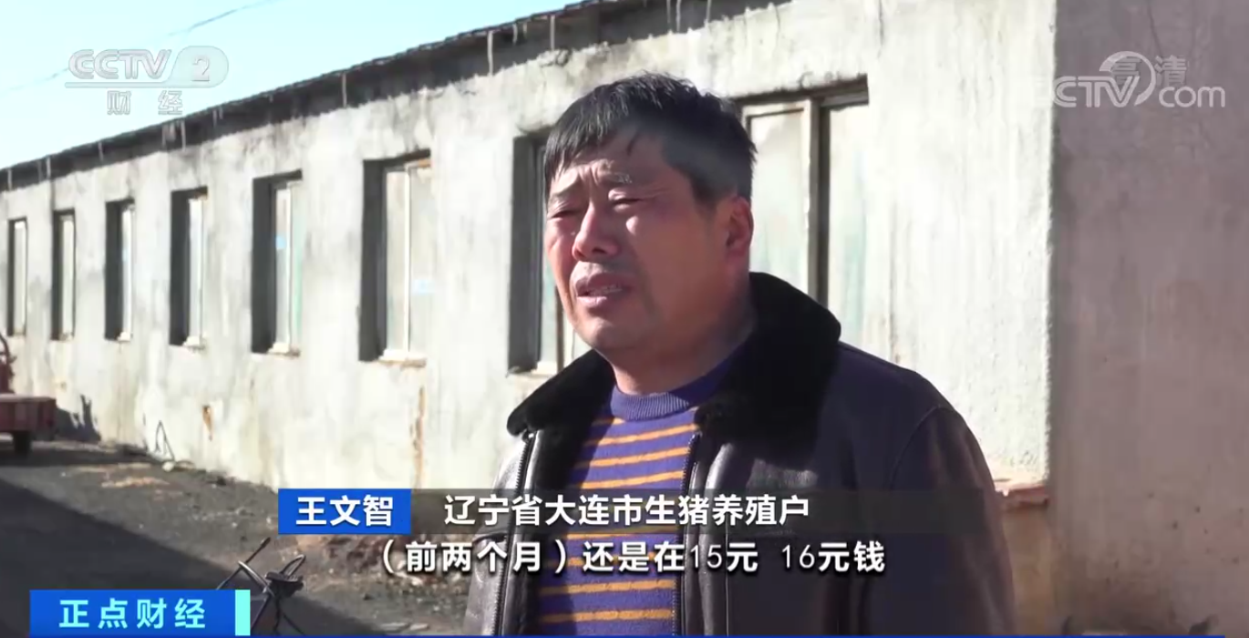 生猪价格高位运行，“猪期货”为养殖业提供新