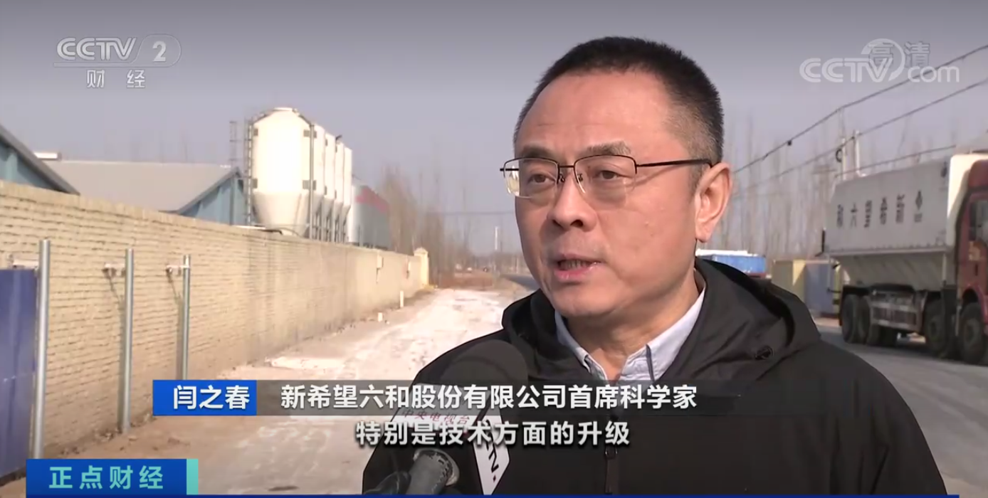 生猪价格高位运行，“猪期货”为养殖业提供新