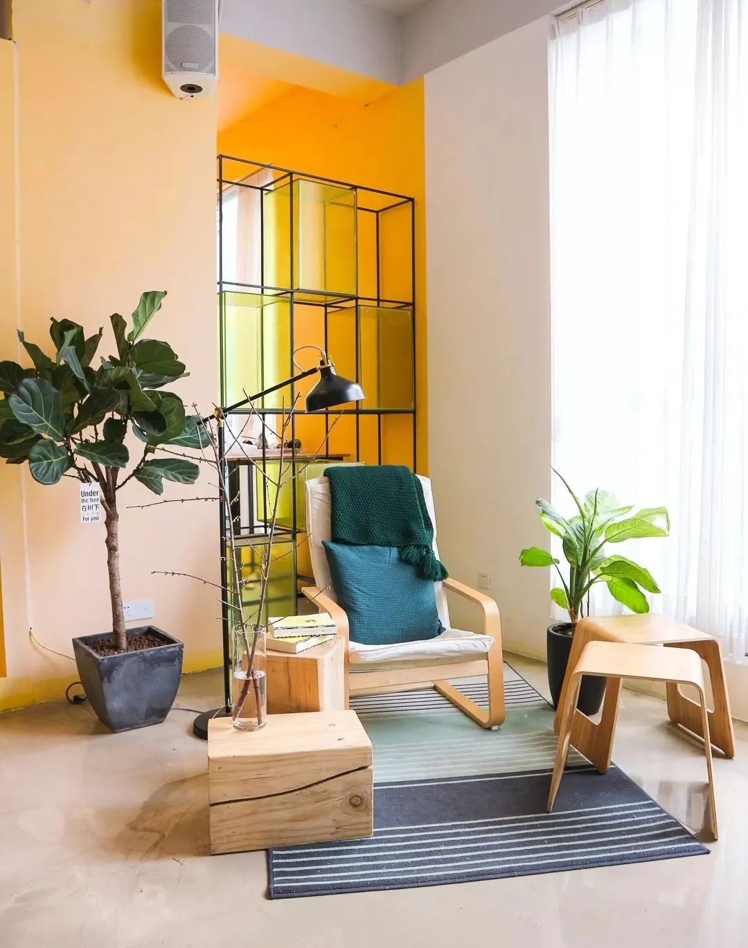 " Mini edition cate closes market " came, save birdie stomach