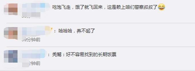 每天6斤肉！被放生秃鹫飞回警局“讨食”，网友：赖上警察叔叔了？