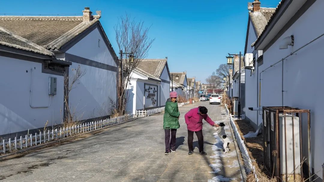 Beijing disease accuses to release a rural area to prevent accuse activity of sex of collect of how-to village cohesion to want to be controlled strictly