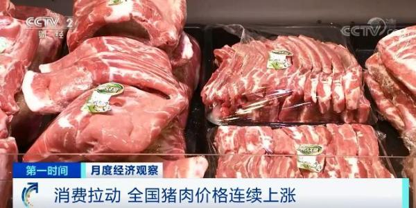 Consumption is pulled move countrywide pork price to rise continuously