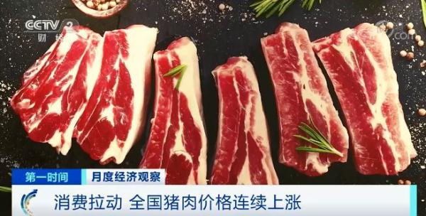 Consumption is pulled move countrywide pork price to rise continuously