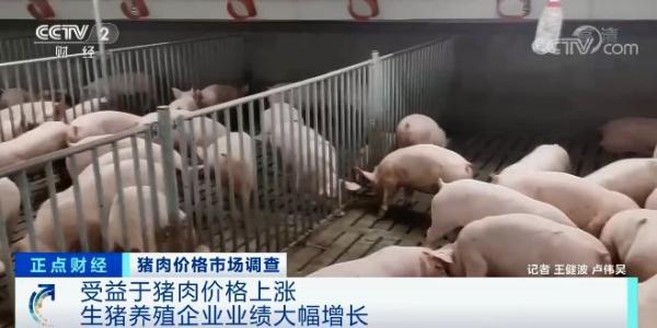 Consumption is pulled move countrywide pork price to rise continuously