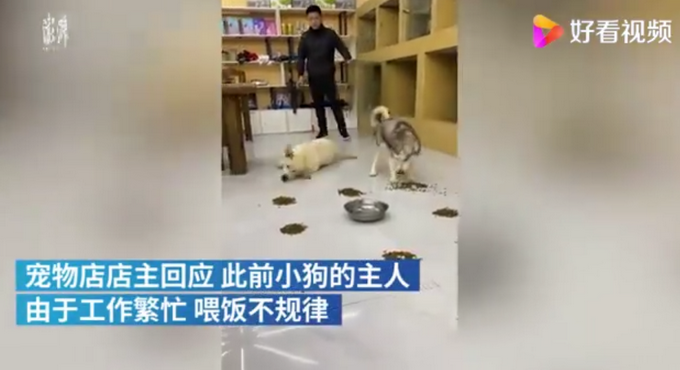 ூ񡱸ʿ棬l