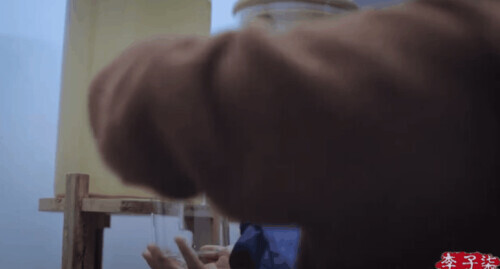 More than pickle, han netizen says dried persimmon also is them...