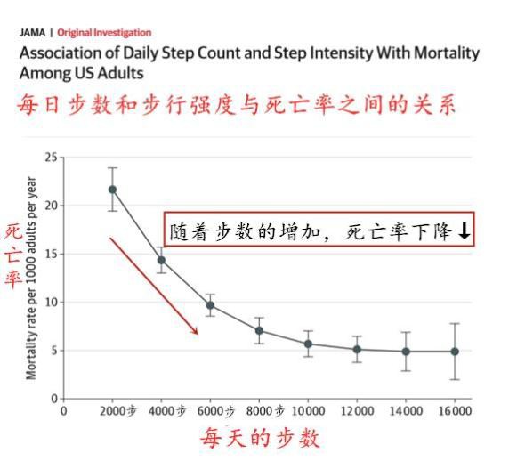 同样是走路，有人走出长寿，有人走废膝盖！每天怎样走最好？