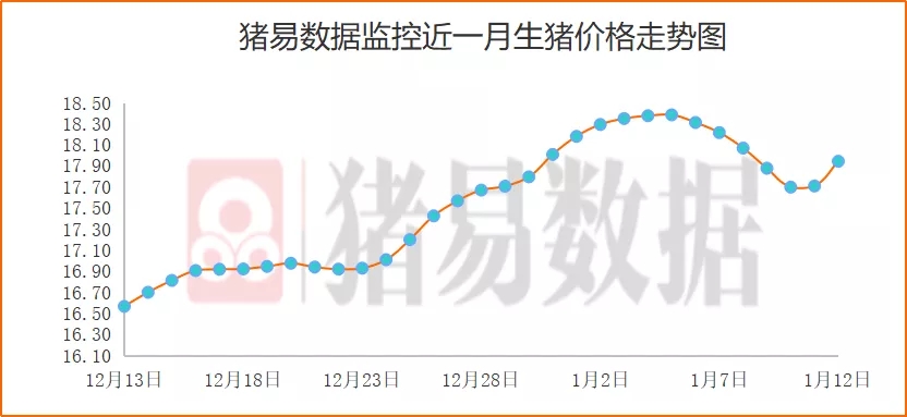 猪价呈现全面上涨，不少北方猪企涨幅达1.0元/公斤