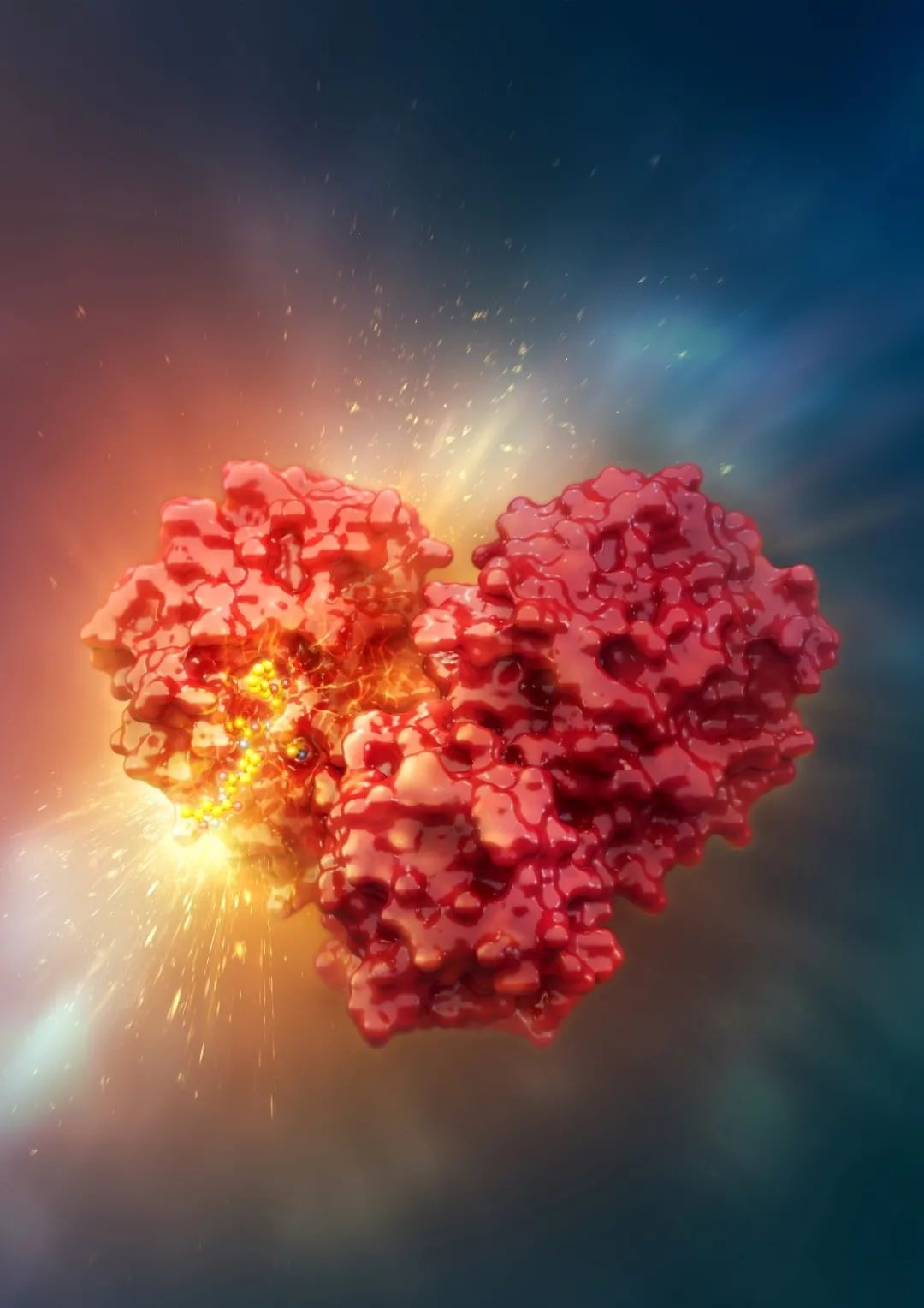 前沿 | 中国生命科学十大进展揭晓！两项新冠病毒研究入选