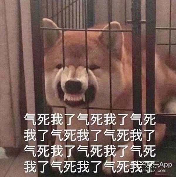 Rancorring person of Gu Jin celebrity closes market! Essence of life allows teacher and student how gracefully name-calling, the cultural worker fights thing having a place