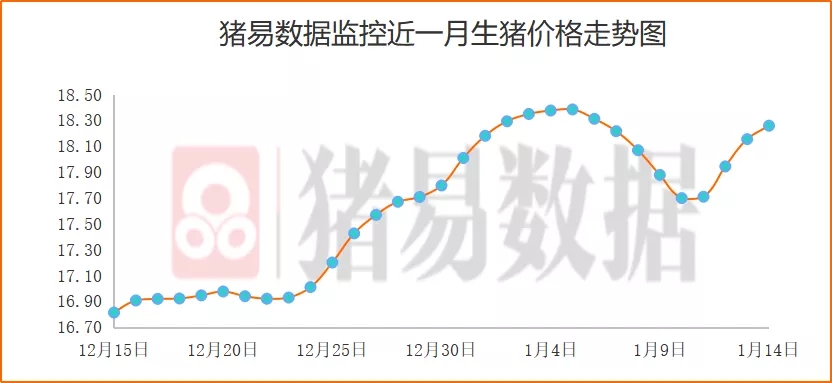 猪价呈现北跌南涨，北方屠企降价意愿强烈